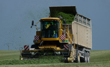 ensileuse-luzerne